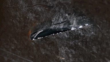 Animated demonstration of Aeroseal duct sealing process for Western PA homeowners